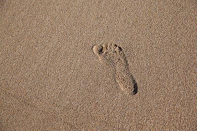 Xbox金会员1月会免游戏公布 《彩虹坠入》等入库